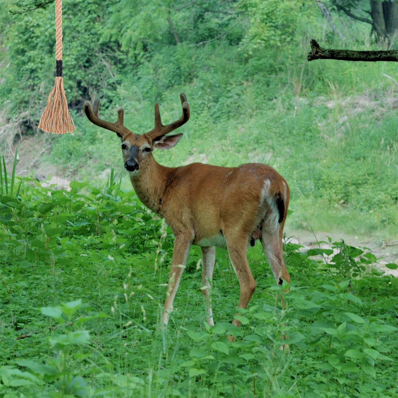 Deer Attractant Scent - Скребок оленя, эффективный долговечный аттрактант, скребок