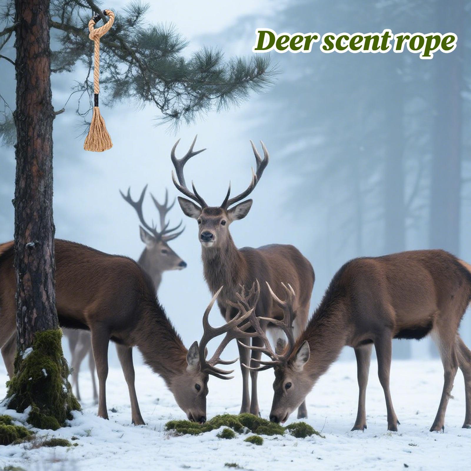 Веревка с ароматом оленя, эффе – обзор и цена Deer Attractant Scent