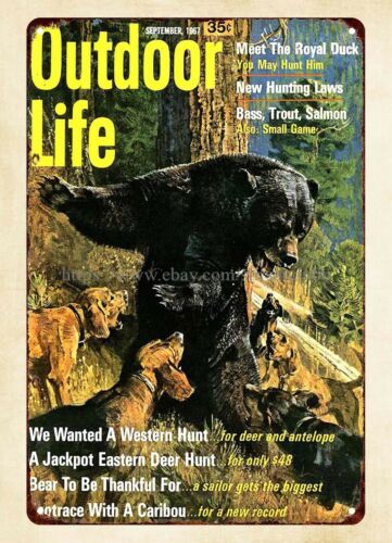 Декор для офиса, металлическая – обзор и цена Hunting Dog Outdoor